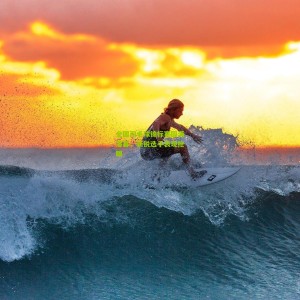 开云中文网：全国羽毛球锦标赛圆满落幕，新锐选手表现抢眼