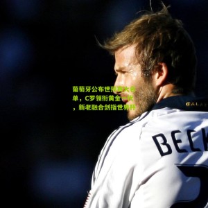 开云下载_葡萄牙公布世预赛大名单，C罗领衔黄金一代，新老融合剑指世界杯