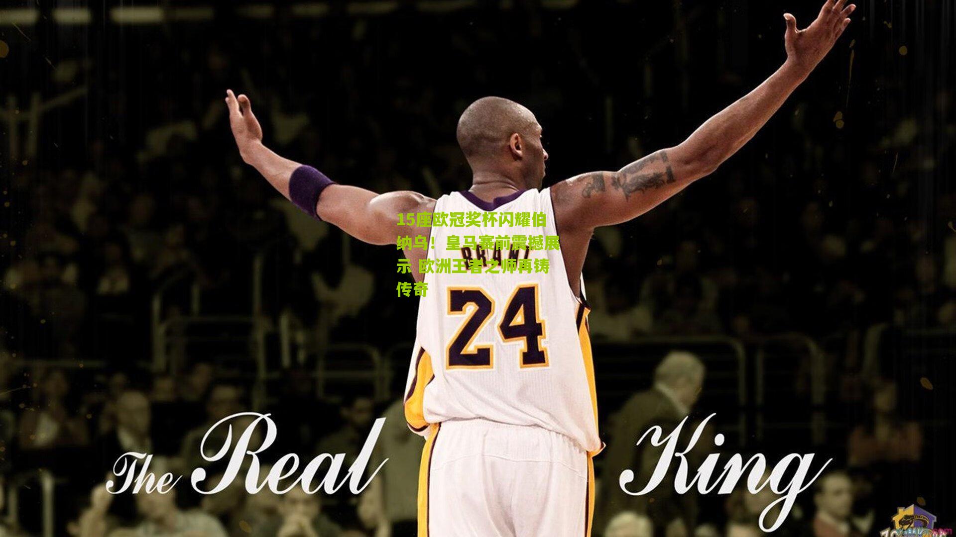 15座欧冠奖杯闪耀伯纳乌！皇马赛前震撼展示 欧洲王者之师再铸传奇